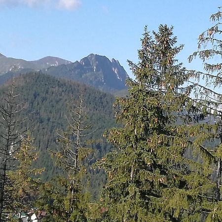 Apartament Z Kogutem Zakopane Eksteriør bilde