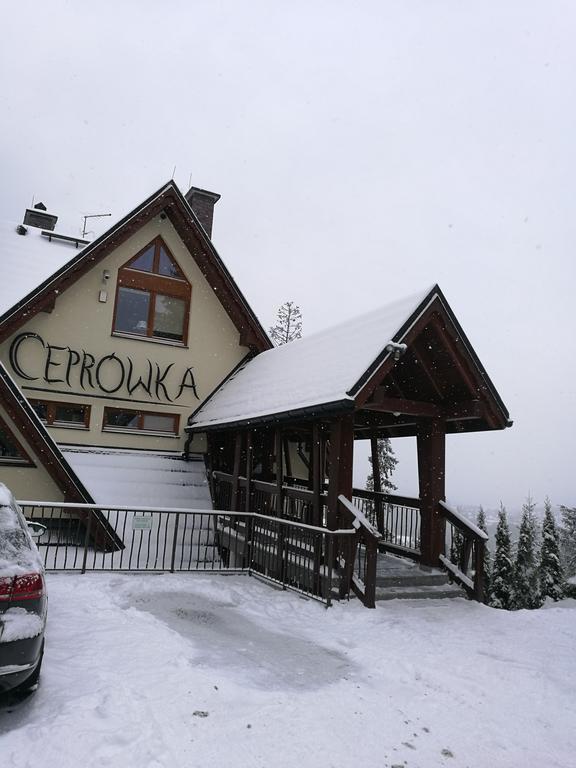 Apartament Z Kogutem Zakopane Eksteriør bilde