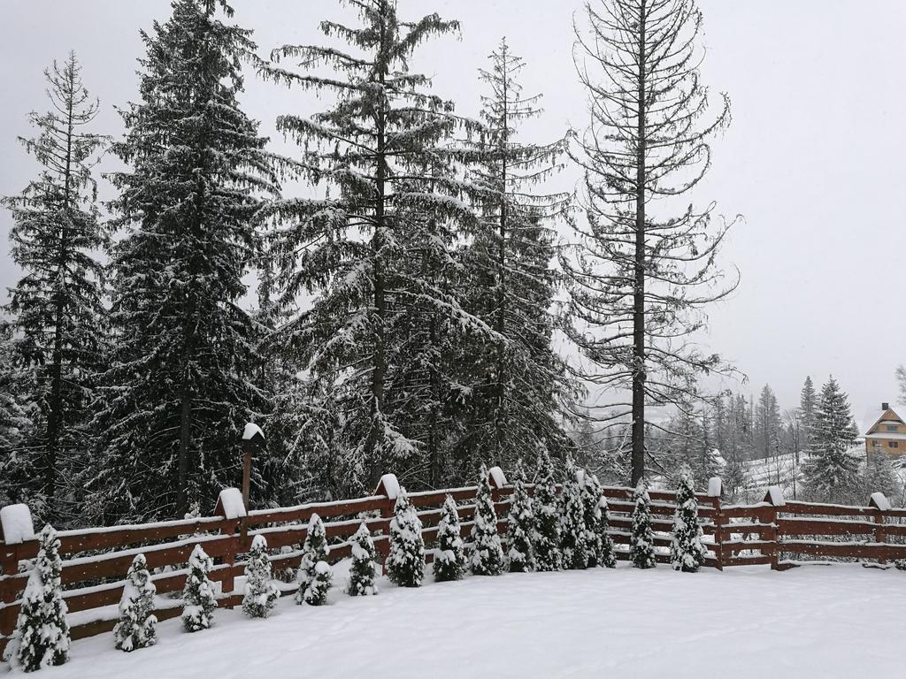 Apartament Z Kogutem Zakopane Eksteriør bilde